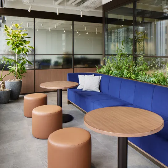 Experience gallery image 06