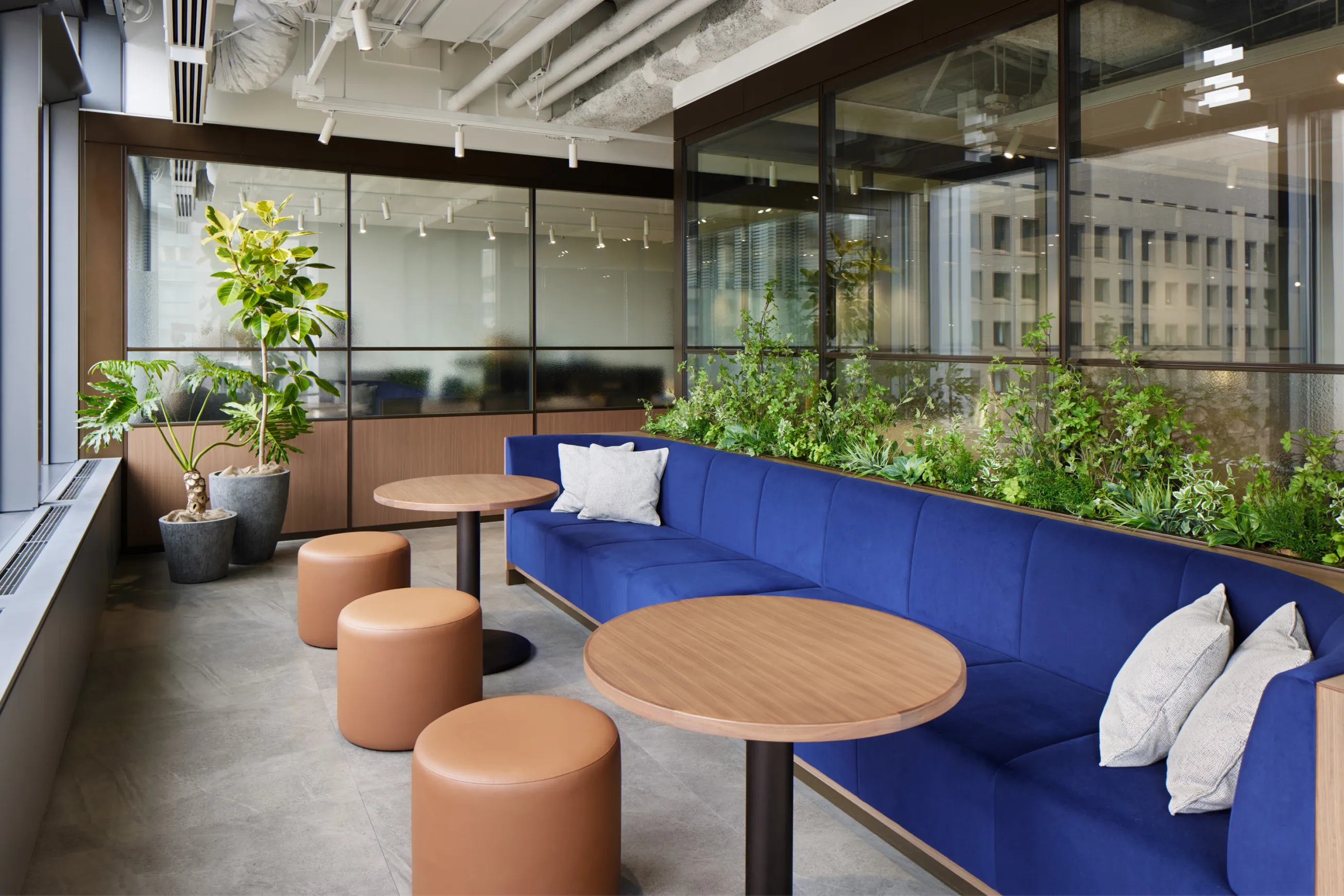 Experience gallery image 06